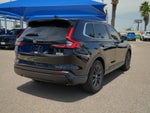 2026 CR-V Thumbnail 5