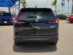 2026 CR-V Thumbnail 6