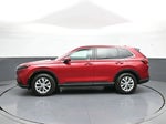 2025 CR-V Thumbnail 9