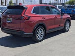 2024 CR-V Thumbnail 2