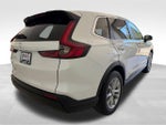 2025 CR-V Thumbnail 6