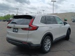 2024 CR-V Thumbnail 6
