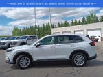 2024 CR-V Thumbnail 19