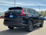 2026 CR-V Thumbnail 17