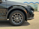 2026 CR-V Thumbnail 19