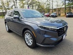2024 CR-V Thumbnail 5