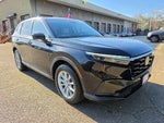 2025 CR-V Thumbnail 5