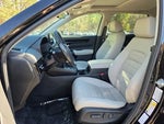 2025 CR-V Thumbnail 19