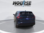 2025 CR-V Thumbnail 6