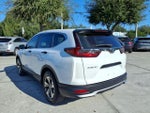 2020 CR-V Thumbnail 6