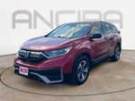 2020 CR-V Thumbnail 6