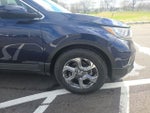 2019 CR-V Thumbnail 6