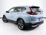 2021 CR-V Thumbnail 6