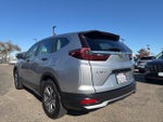 2020 CR-V Thumbnail 7