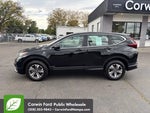 2020 CR-V Thumbnail 8