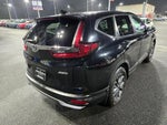 2020 CR-V Thumbnail 5