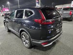 2020 CR-V Thumbnail 7