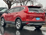 2019 CR-V Thumbnail 6