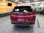 2020 CR-V Thumbnail 6