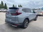 2022 CR-V Thumbnail 5