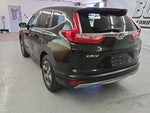 2019 CR-V Thumbnail 5