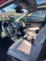 2019 CR-V Thumbnail 6