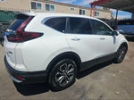 2020 CR-V Thumbnail 2