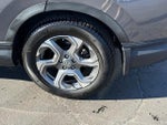 2019 CR-V Thumbnail 7