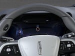 2025 Aviator Thumbnail 13