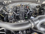 2021 Navigator Thumbnail 31