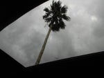 2025 Navigator Thumbnail 21