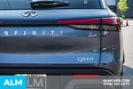 2025 QX60 Thumbnail 13