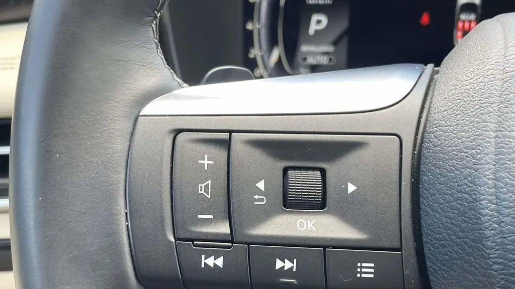2025 INFINITI QX60 Sensory