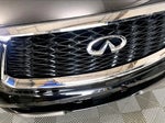 2025 QX60 Thumbnail 31