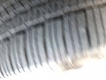 2026 Rogue Thumbnail 11
