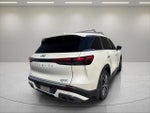 2024 QX60 Thumbnail 14