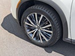2024 QX60 Thumbnail 25