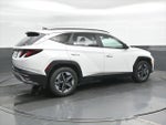 2026 Tucson Thumbnail 3