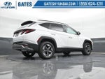 2025 TUCSON Thumbnail 41