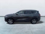 2023 Santa FE Thumbnail 4
