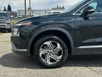 2023 Santa FE Thumbnail 14