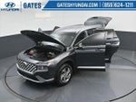 2021 Santa FE Thumbnail 47