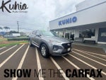 2019 Santa FE Thumbnail 2