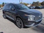 2021 Santa FE Thumbnail 2