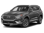 2021 Santa FE Thumbnail 1