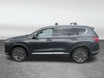 2021 Santa FE Thumbnail 4