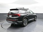 2023 Santa FE Thumbnail 6