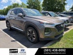 2019 Santa FE Thumbnail 1