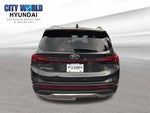2021 Santa FE Thumbnail 3