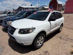2009 Santa FE Thumbnail 1